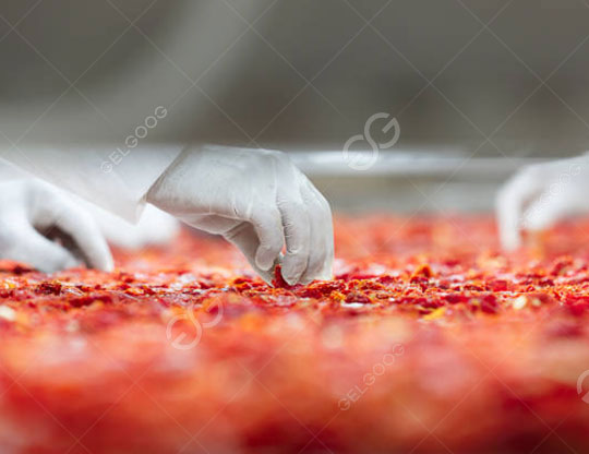 Línea de procesamiento de polvo de tomate