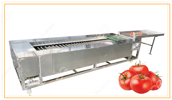 máquina clasificadora de tomates1.jpg