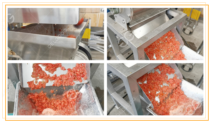 máquina trituradora de tomates.jpg