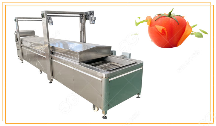 máquina para blanquear tomates.jpg