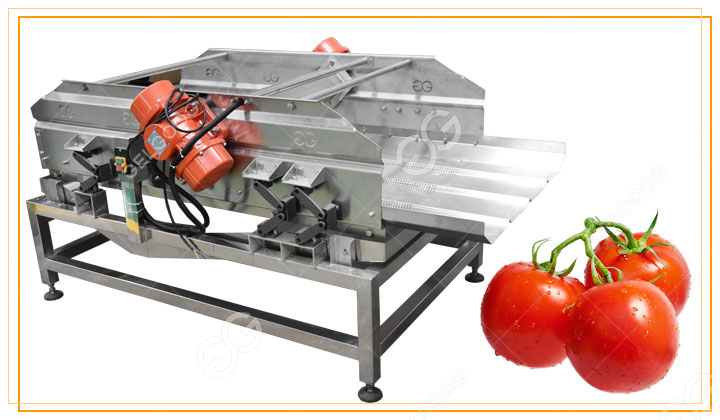 Máquina vibradora para desregar tomates