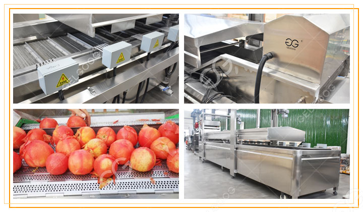 máquina blanqueadora de tomates3.jpg