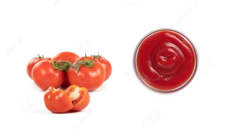 Pasos para el procesamiento de la pasta de tomate