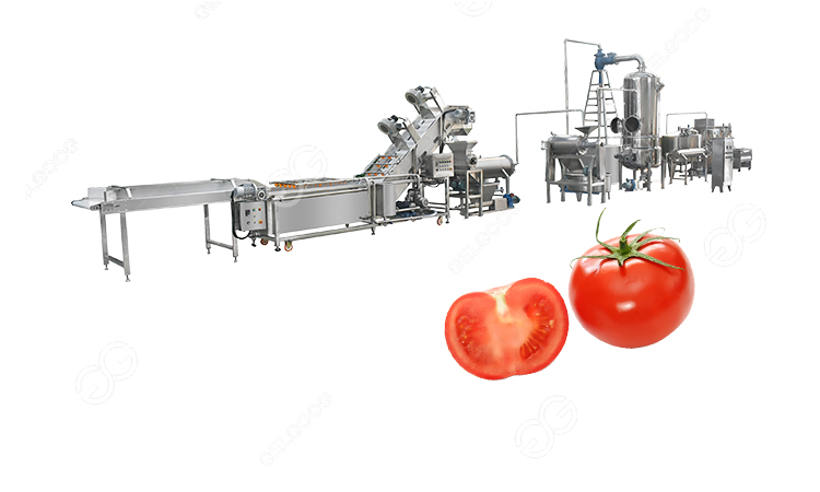 pasos del procesamiento del tomate