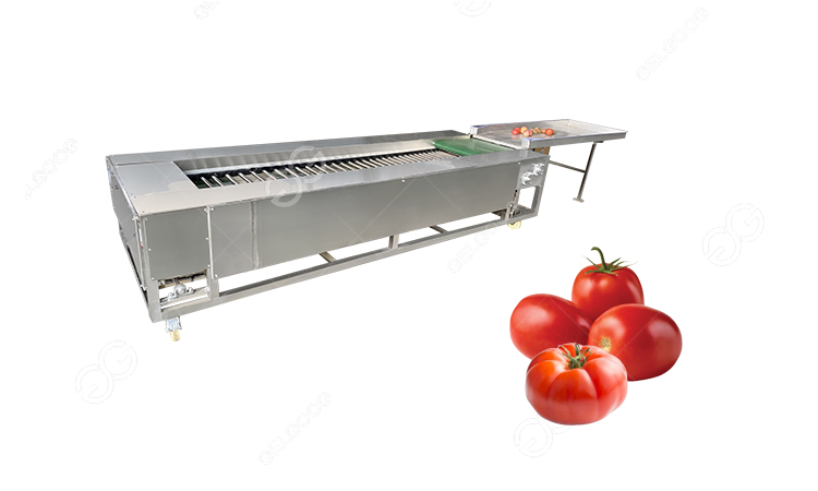 máquina clasificadora de tomates