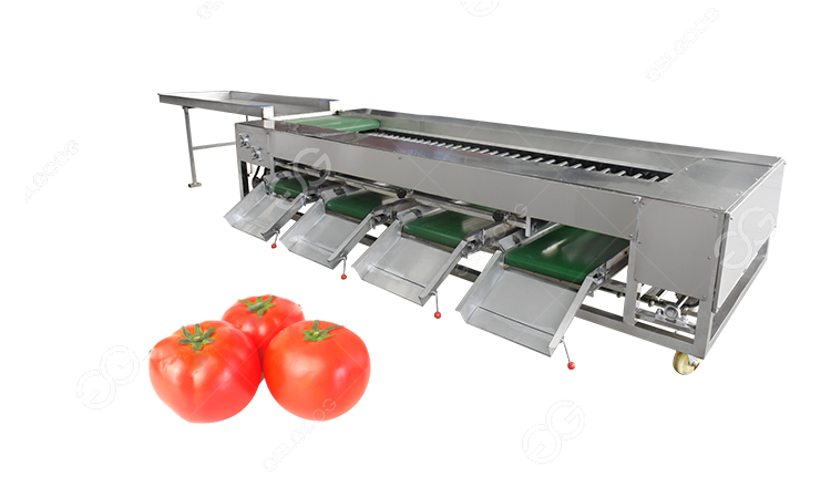 máquina clasificadora de tomates