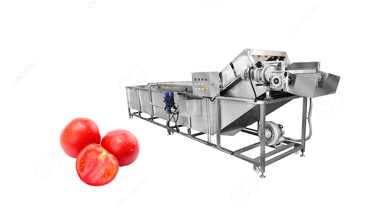 lavadora de tomates.jpg