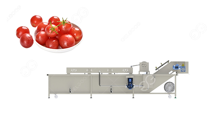 lavadora de tomates cherry