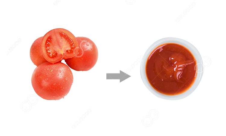 tomate fresco a salsa de tomate