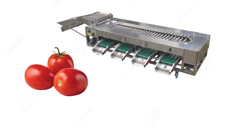 máquina clasificadora de tomates