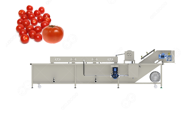 lavadora de tomates cherry