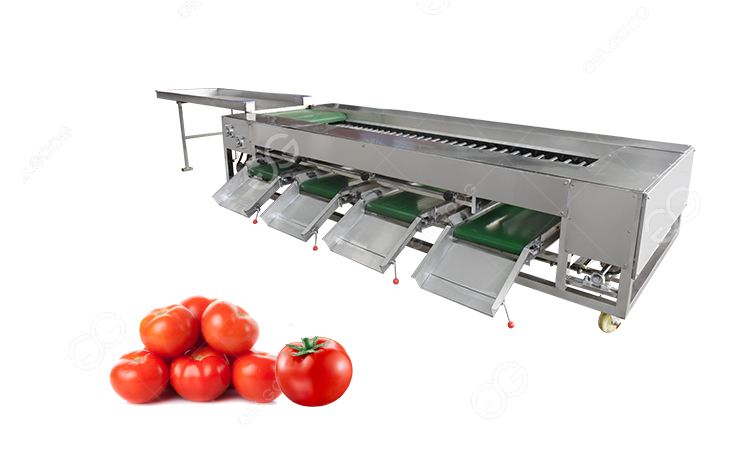 máquina clasificadora de tomates por tamaño