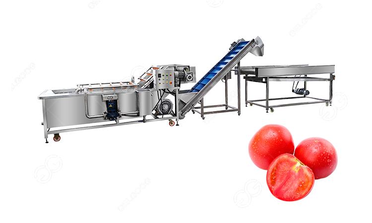 tendedero de tomates