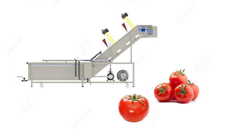 lavadora de tomates automática