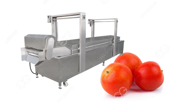 ¿Qué equipo necesitas para blanquear tomates?